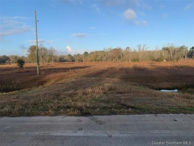 $350,000 | 1751 Highway 165, Kinder, LA 70648