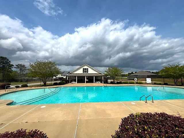a view of a big yard with plants and large trees