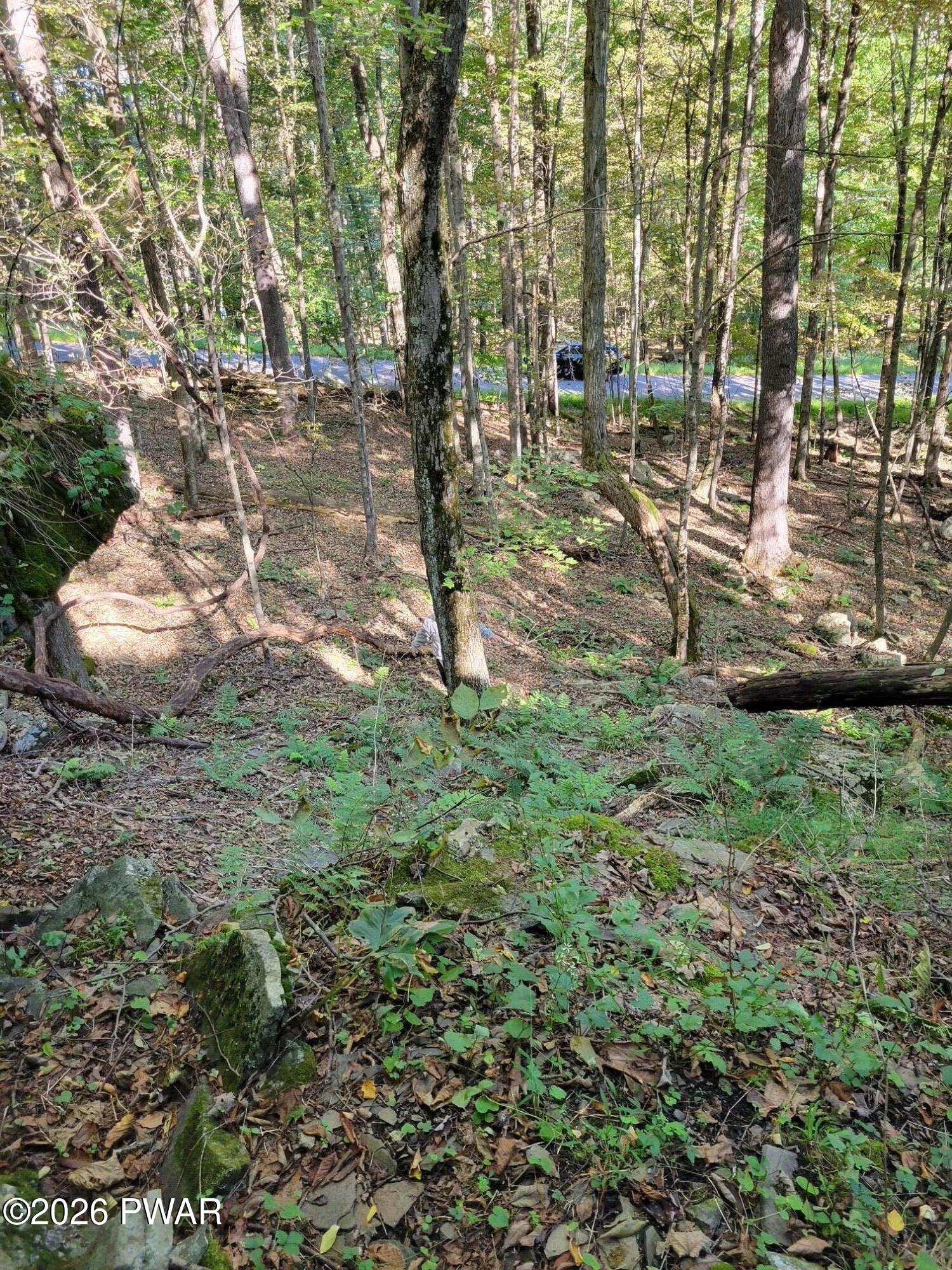 Lot 193 Cygnus Road Lake Ariel, PA 18436 - Photo 5 of 25