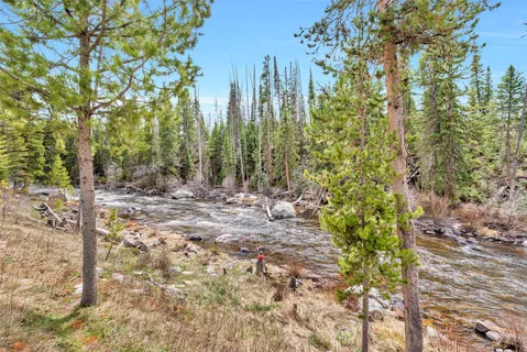 a view of a forest with trees