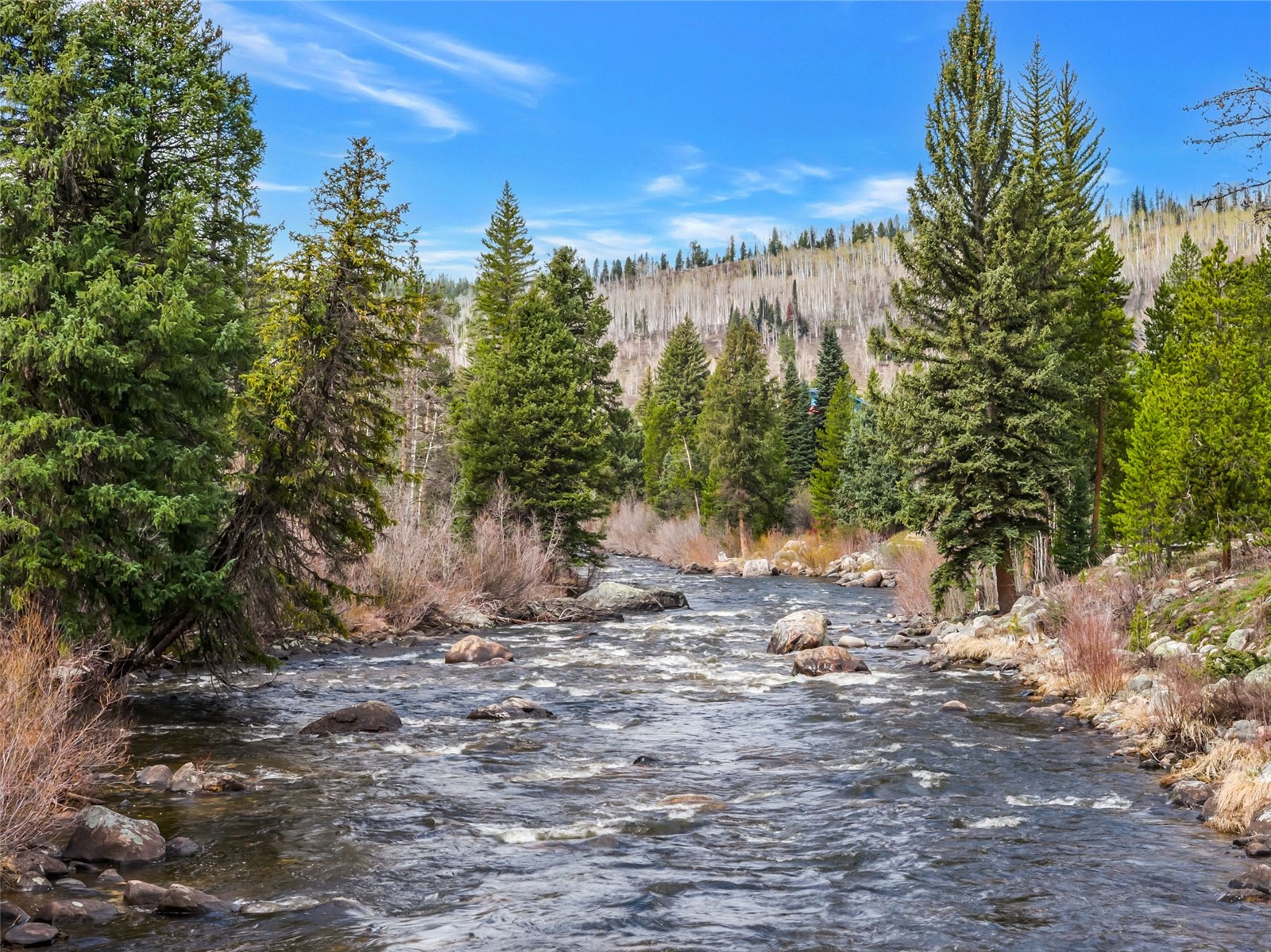 31405 Seedhouse Road Clark, CO 80428 - Photo 17 of 50