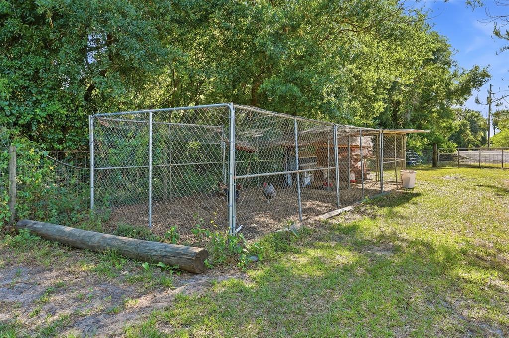 39000 Sparkman Road Dade City, FL 33525 - Photo 45 of 52 Gallery Image 45