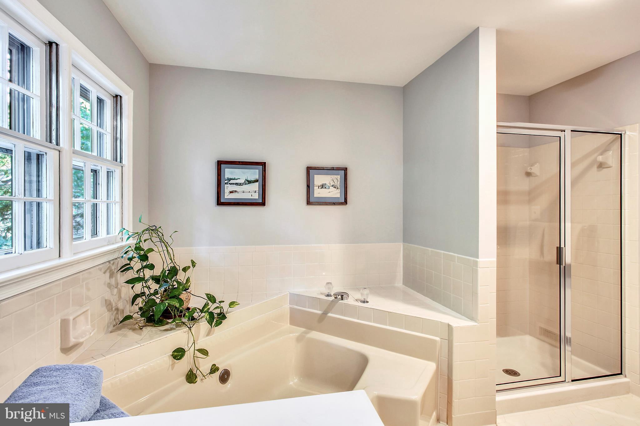 11887 Fawn Ridge Lane Reston, VA 20194 - Photo 19 of 27 Luxury soaking tub