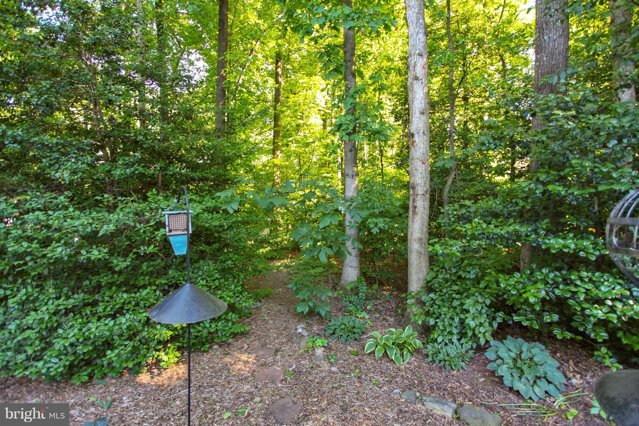 11887 Fawn Ridge Lane Reston, VA 20194 - Photo 25 of 27 1/2 acre treed kit