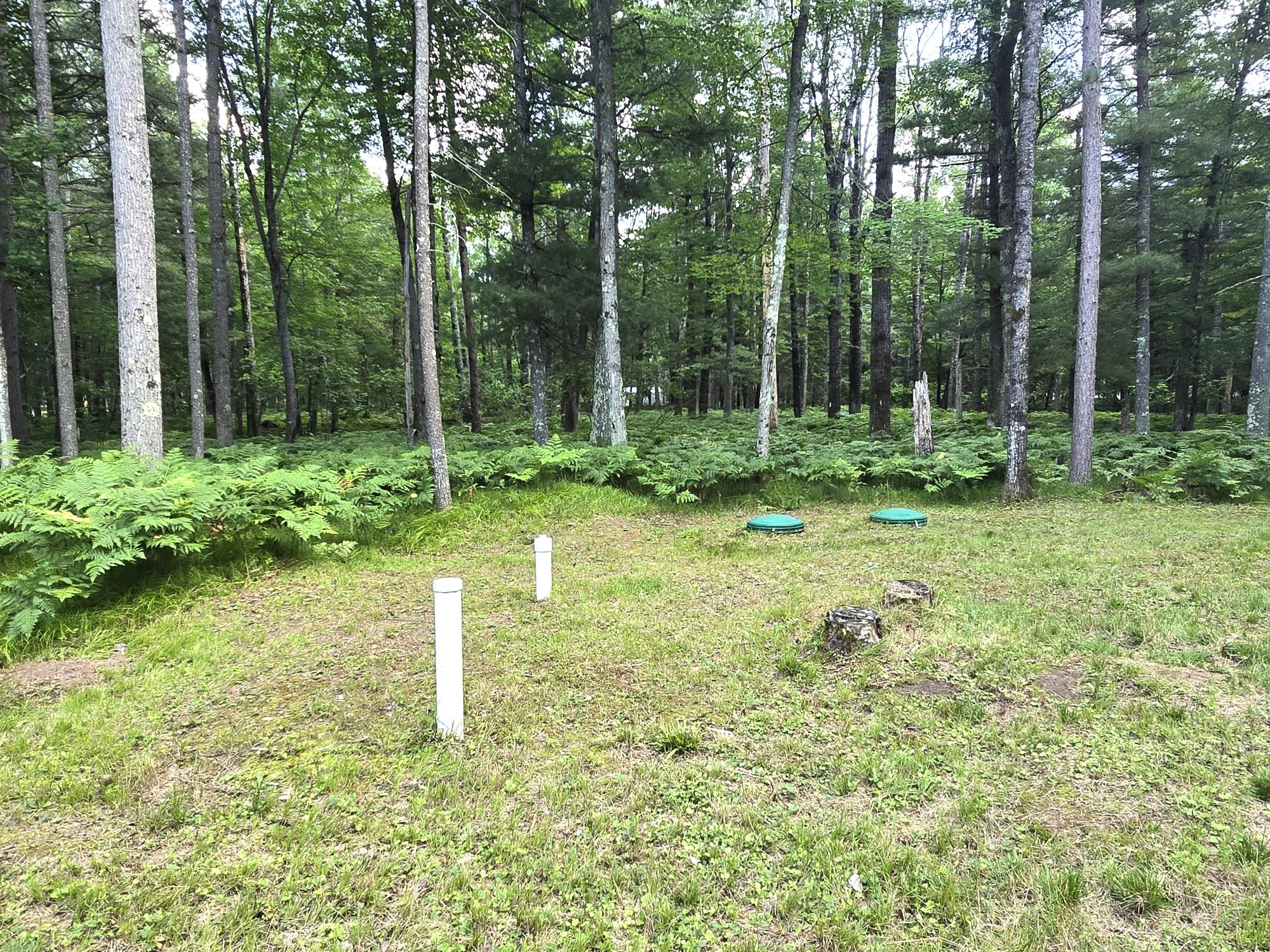 8885 North Townline Road Woodruff, WI 54568 - Photo 10 of 16 Gallery Image 10