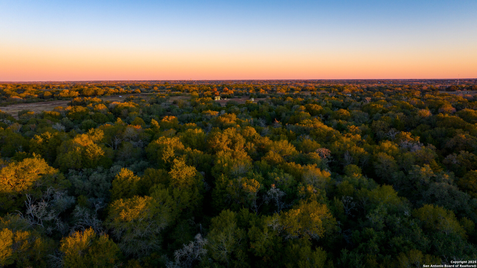 a view of a city with green space