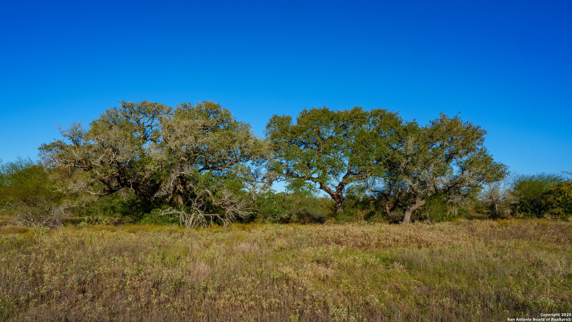 0 Hagan Mott Road Yoakum, TX 77995 - Photo 11 of 12 a view of a large yard with lots of green space