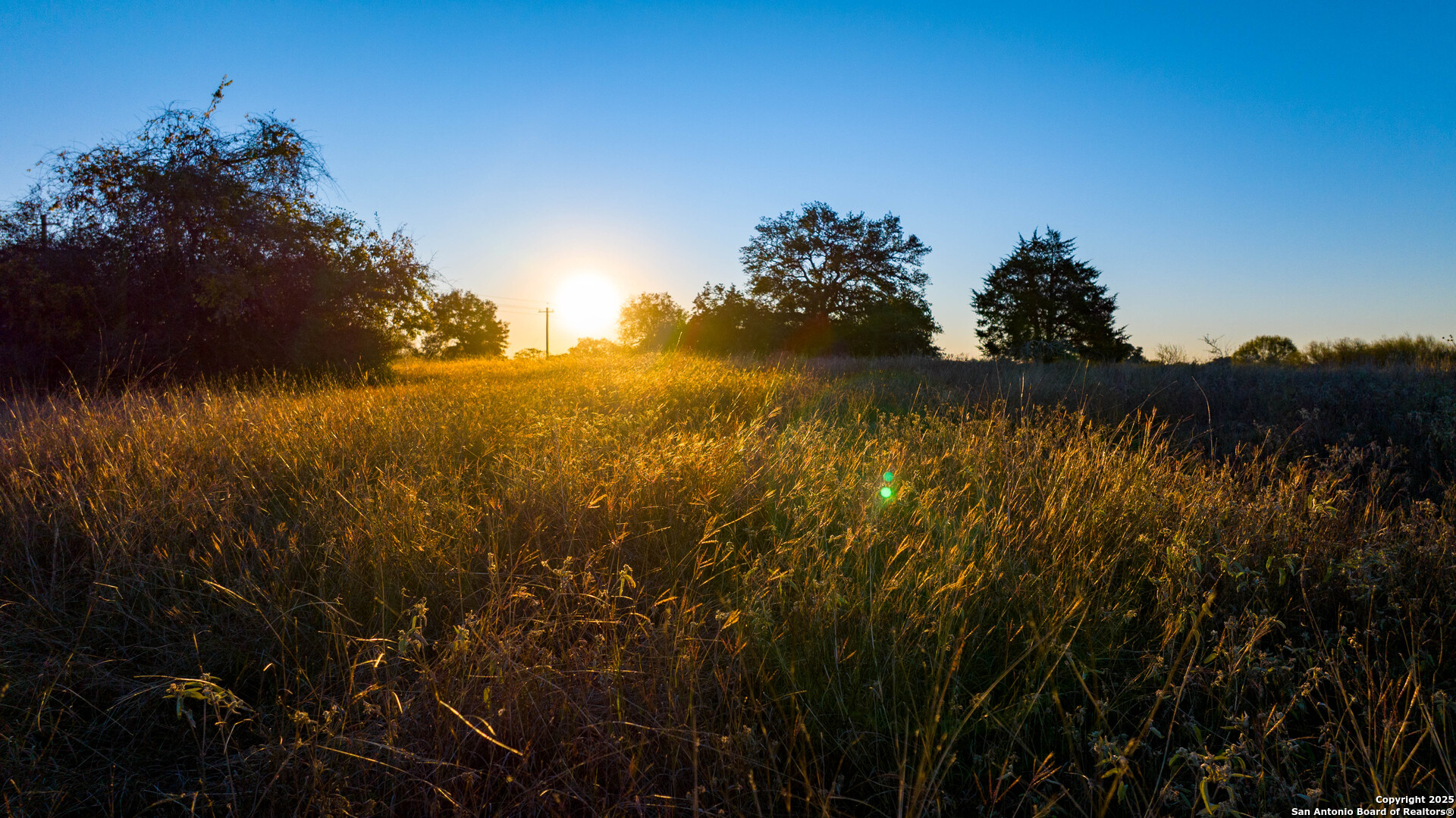 0 Hagan Mott Road Yoakum, TX 77995 - Photo 4 of 12