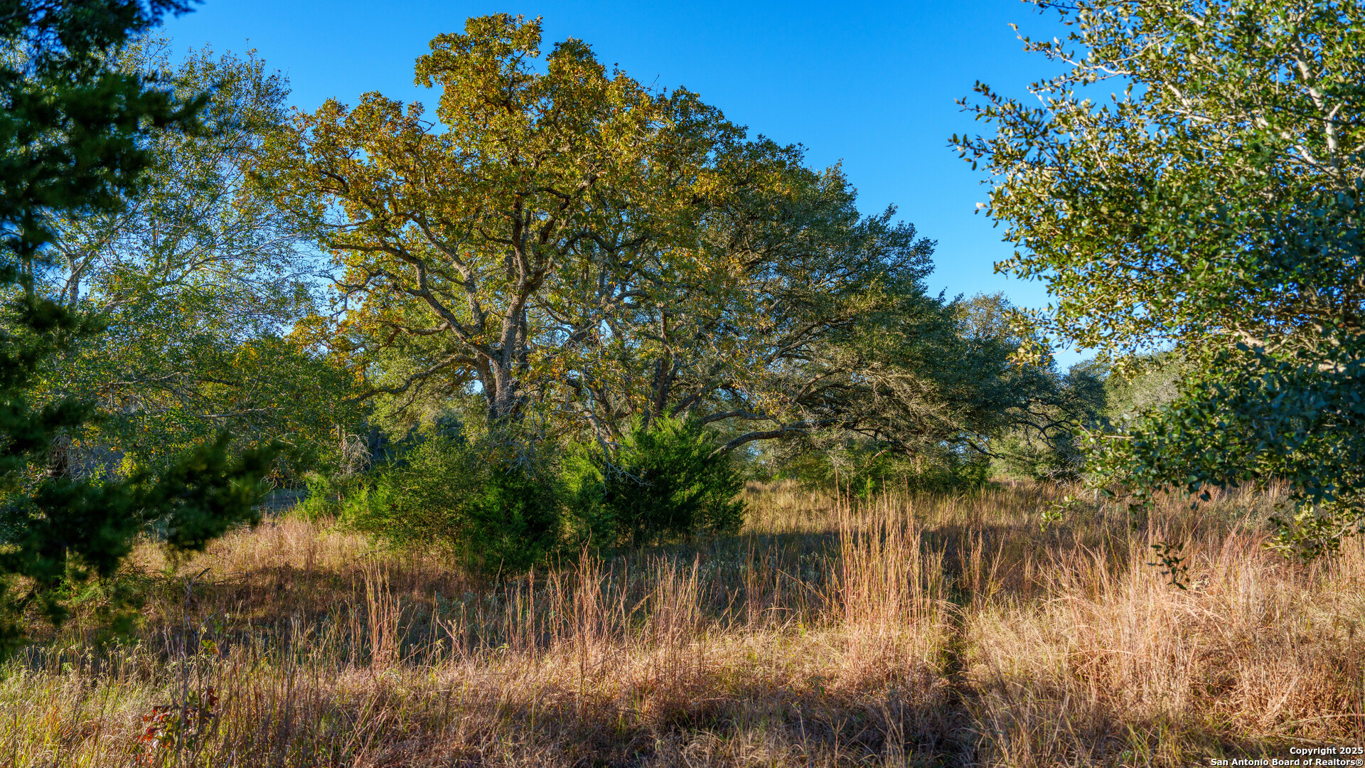 0 Hagan Mott Road Yoakum, TX 77995 - Photo 8 of 12 a view of lake with green space