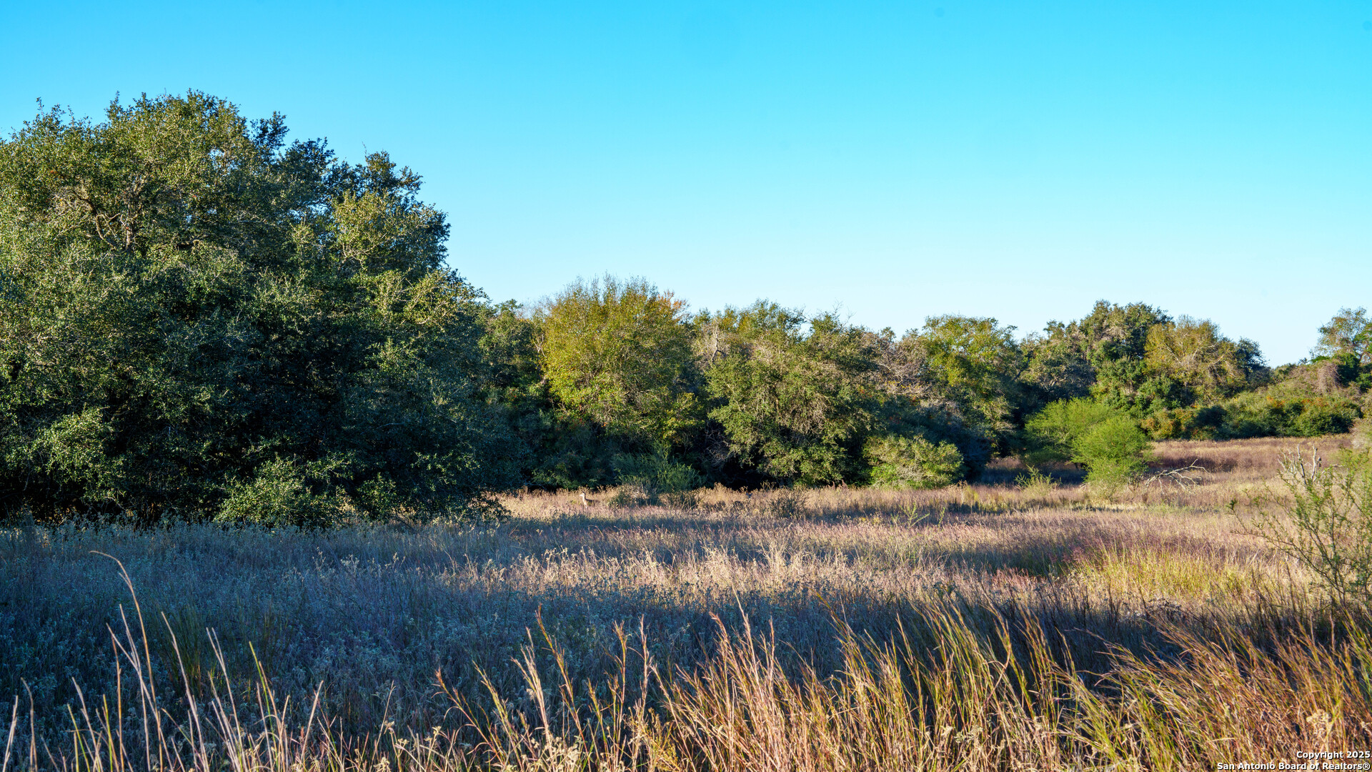 0 Hagan Mott Road Yoakum, TX 77995 - Photo 10 of 12 a view of a lake with a forest