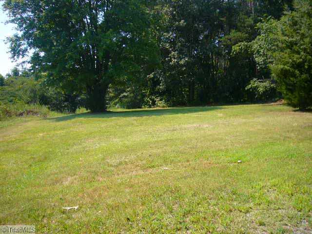 3041 Clyde Road Boonville, NC 27011 - Photo 13 of 14 Land.