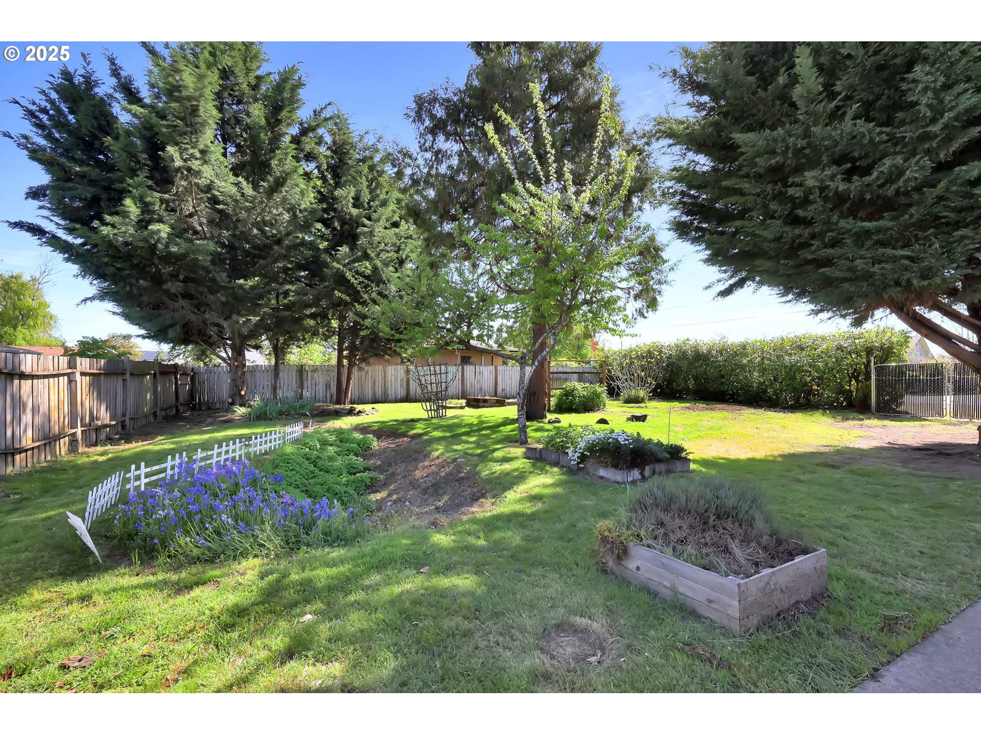 4150 Barger Drive Eugene, OR 97402 - Photo 22 of 28 a view of a park with large trees