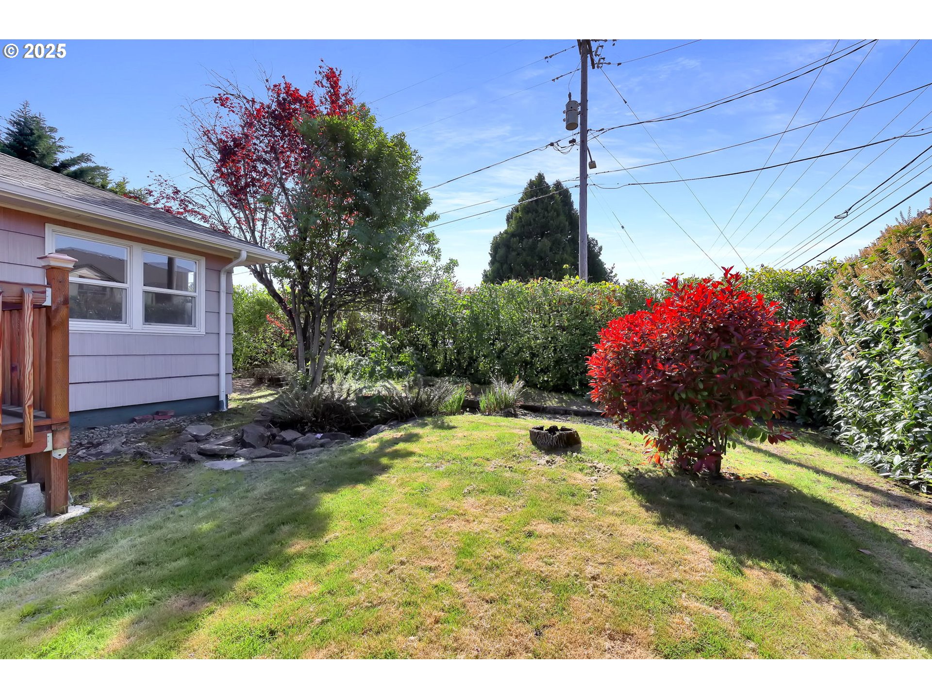 4150 Barger Drive Eugene, OR 97402 - Photo 3 of 28 a view of a backyard with potted plants