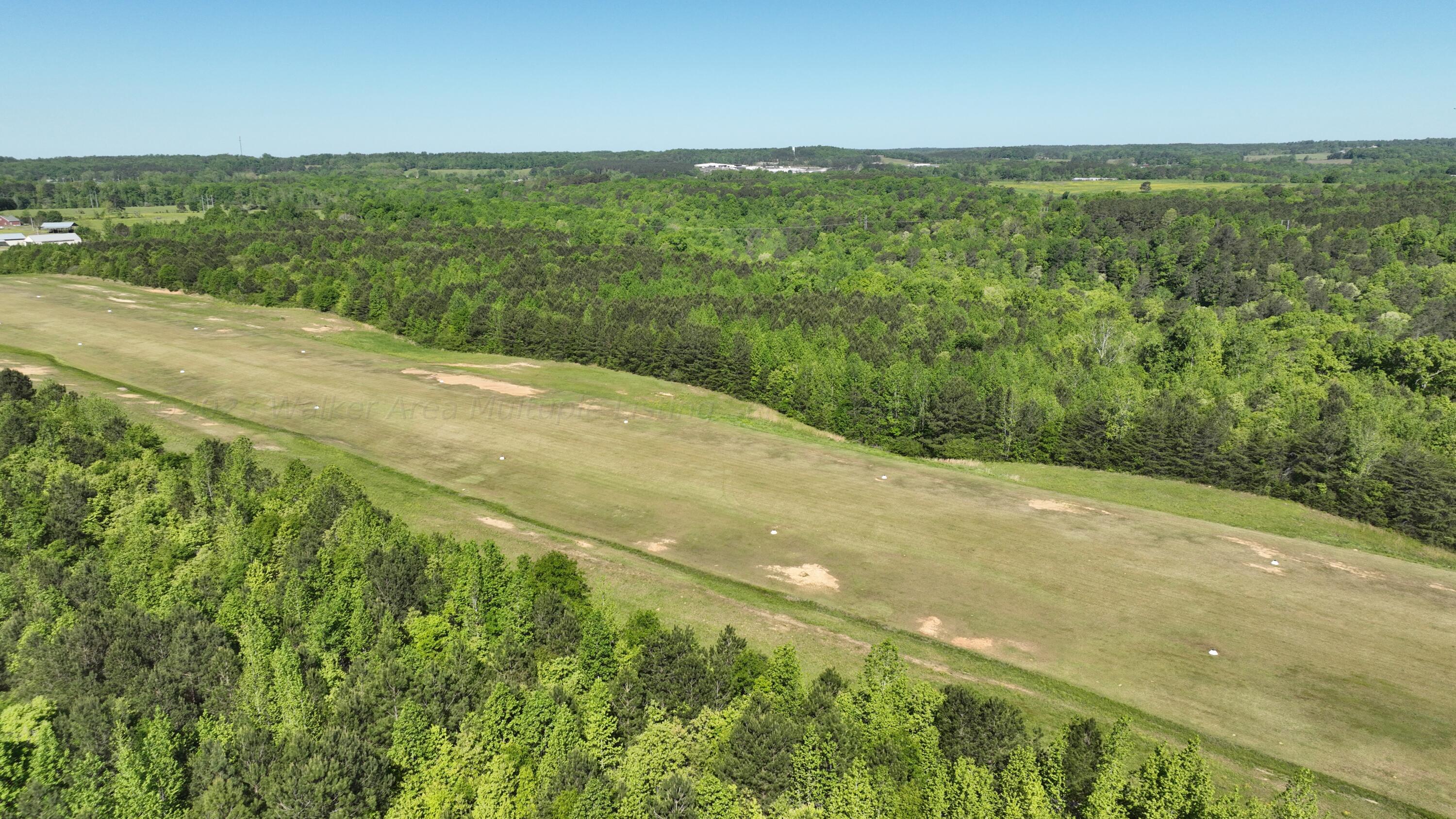 1501 Sardis-Airport Road Addison, AL 35540 - Photo 7 of 8 Gallery Image 7