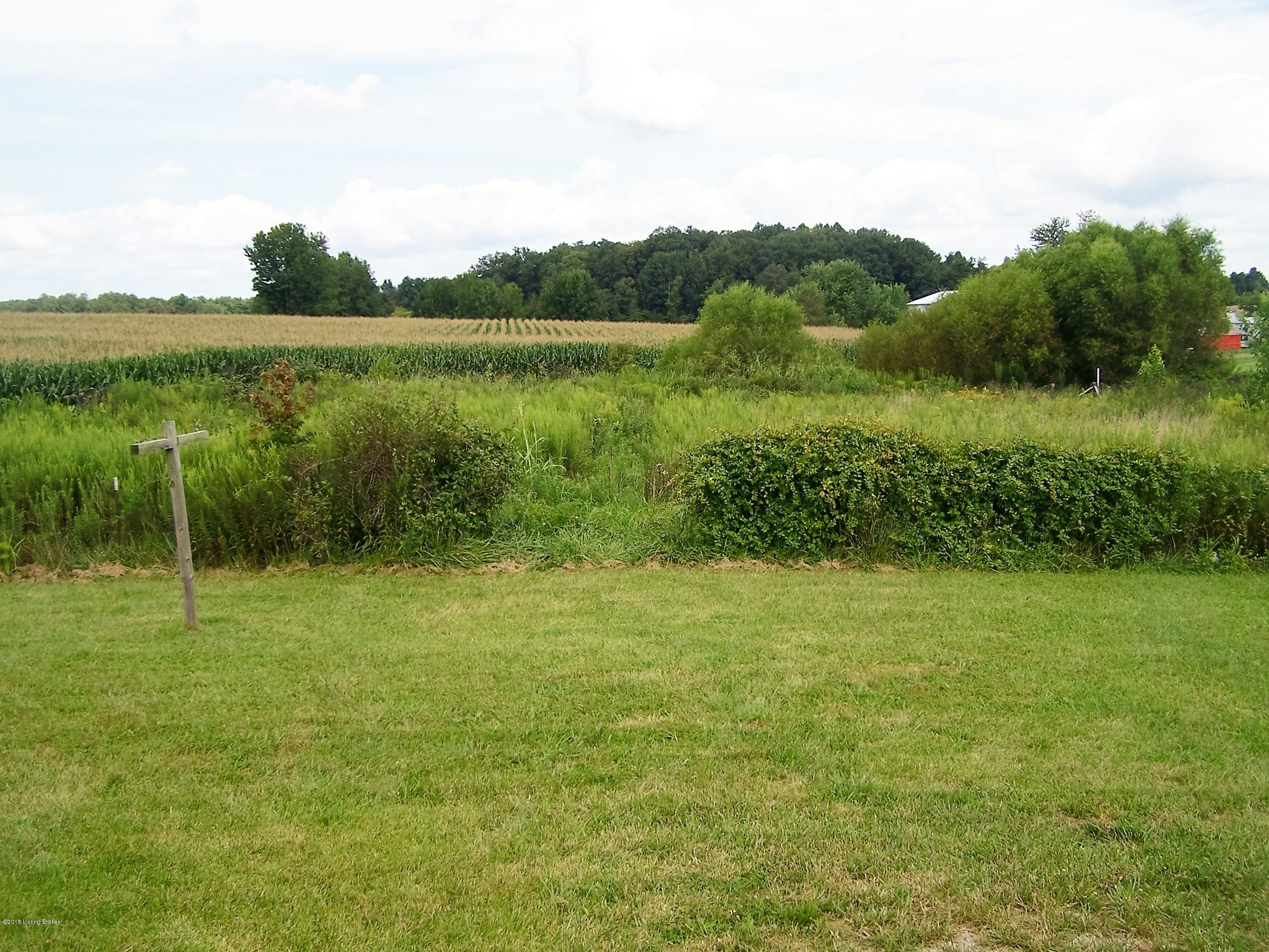 3768 Springfield Road Elizabethtown, KY 42701 - Photo 13 of 14 110_9775