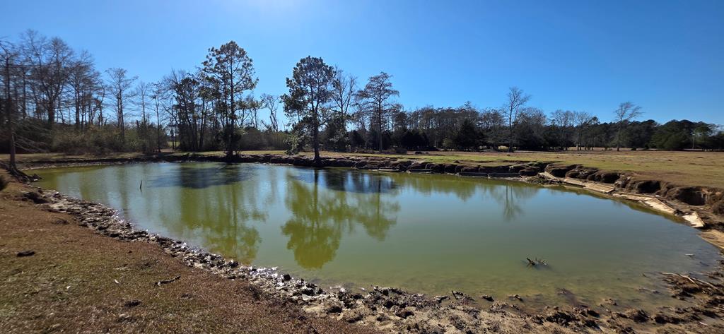12.7-acres Nobles Road Dothan, AL 36301 - Photo 29 of 41