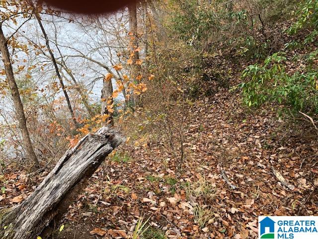 0 Underwood Ferry Road, Unit 2 ACRES Quinton, AL 35130 - Photo 3 of 5