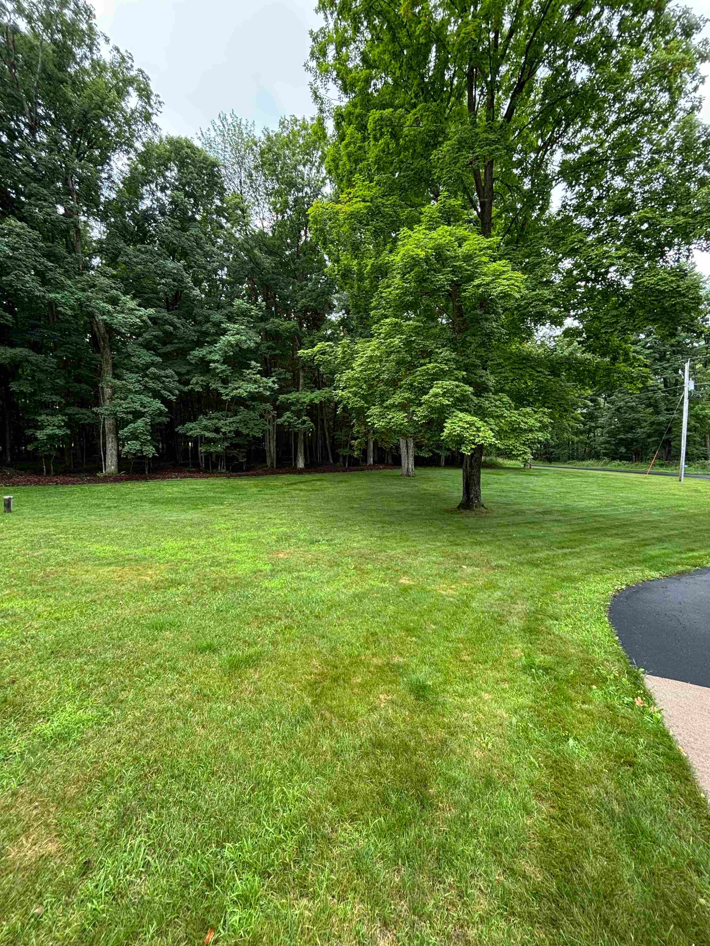 N10486 Cherry Road Birnamwood, WI 54414 - Photo 44 of 52