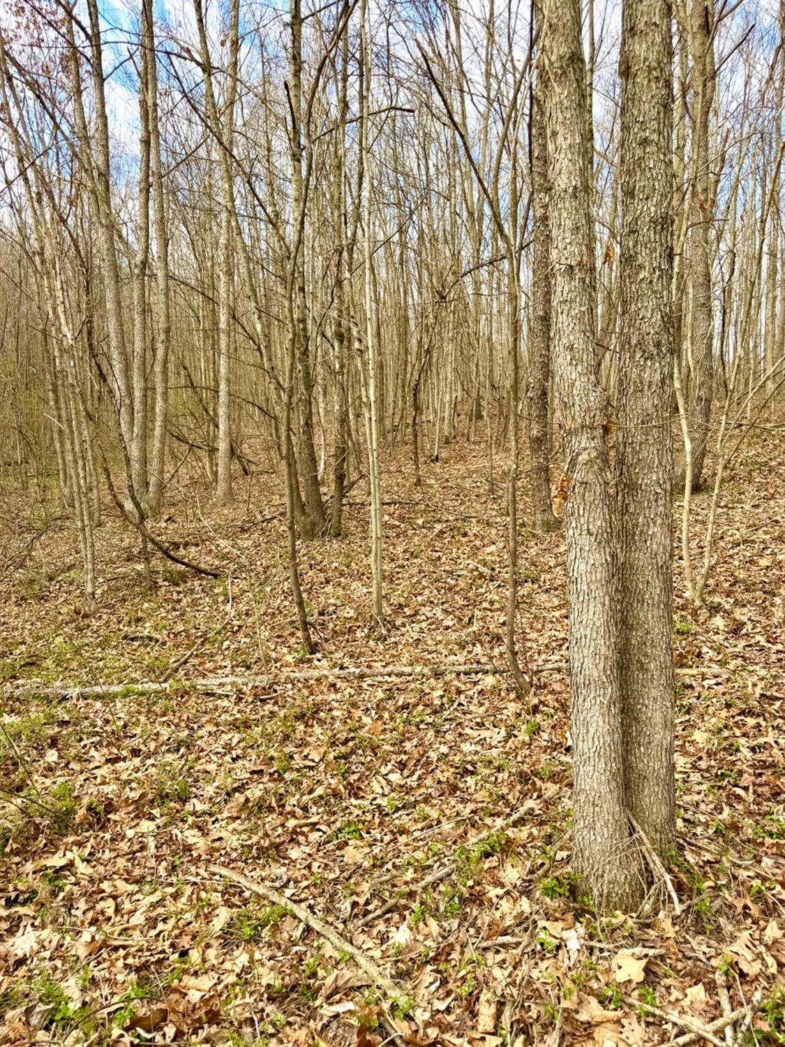 0 Fyffe Hollow Road Chillicothe, OH 45601 - Photo 57 of 96