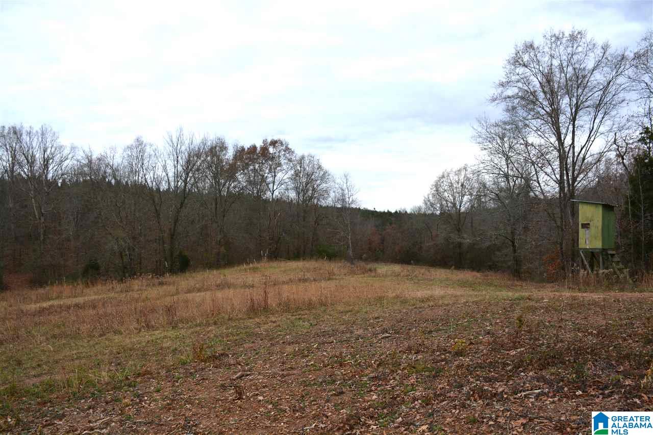 0 Jackson Loop Road, Unit 1 Ragland, AL 35131 - Photo 27 of 27