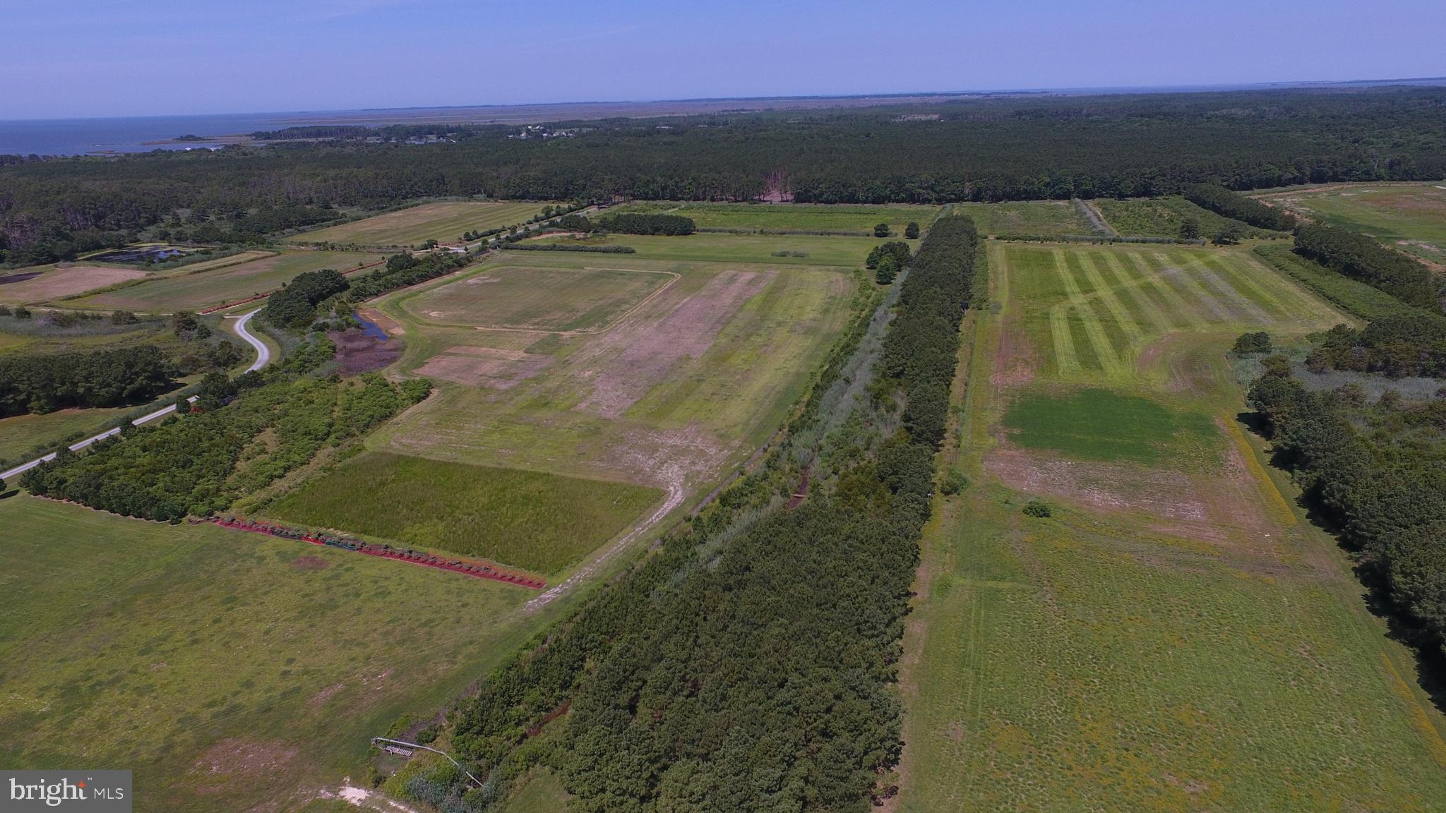 10049 Locust Point Road Princess Anne, MD 21853 - Photo 30 of 149