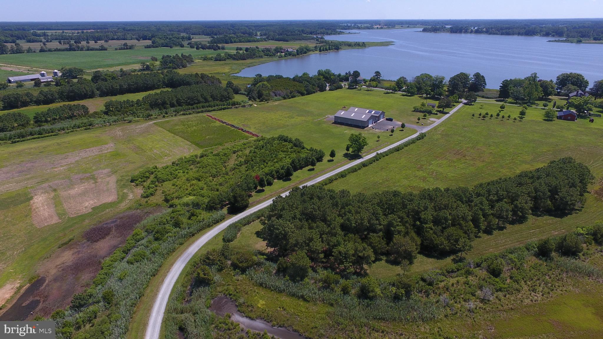 10049 Locust Point Road Princess Anne, MD 21853 - Photo 5 of 149 Nice Driveway