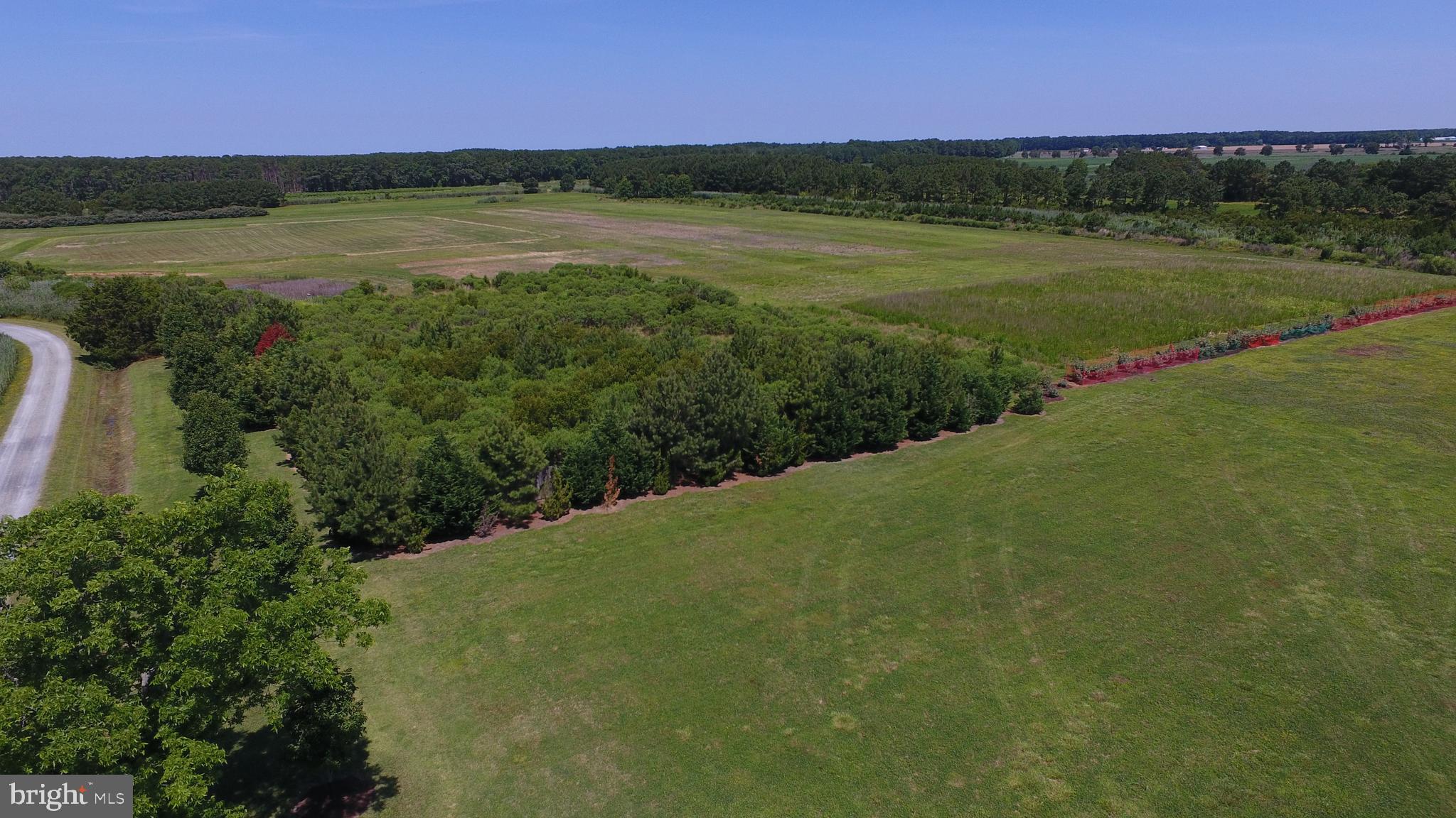 10049 Locust Point Road Princess Anne, MD 21853 - Photo 60 of 149