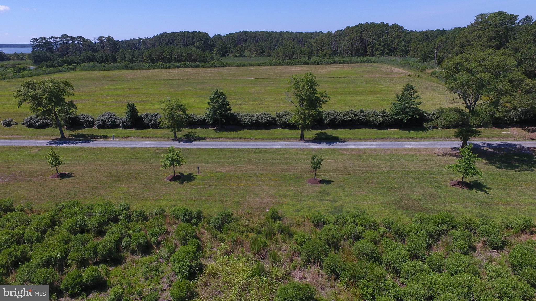 10049 Locust Point Road Princess Anne, MD 21853 - Photo 66 of 149