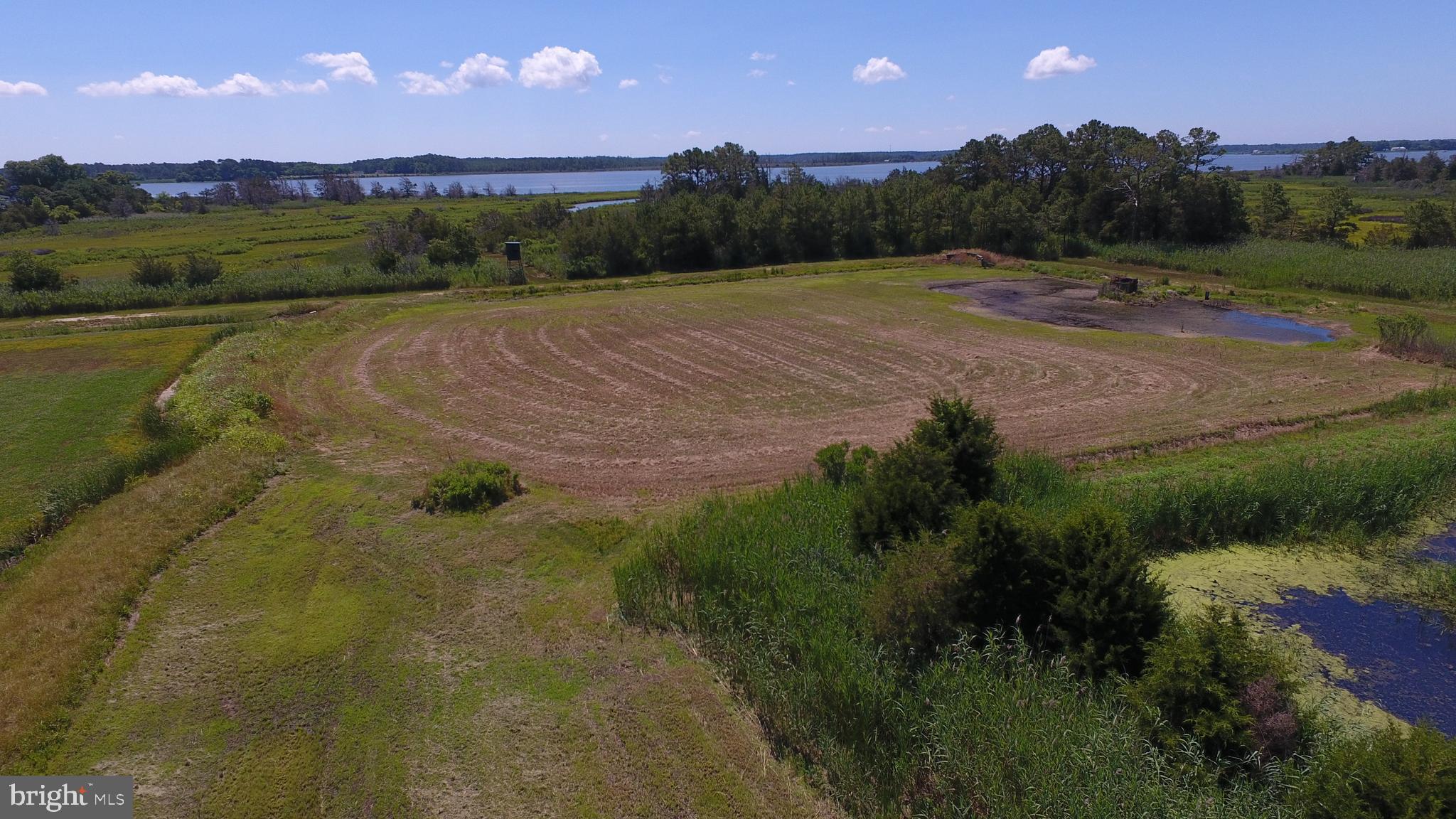 10049 Locust Point Road Princess Anne, MD 21853 - Photo 71 of 149
