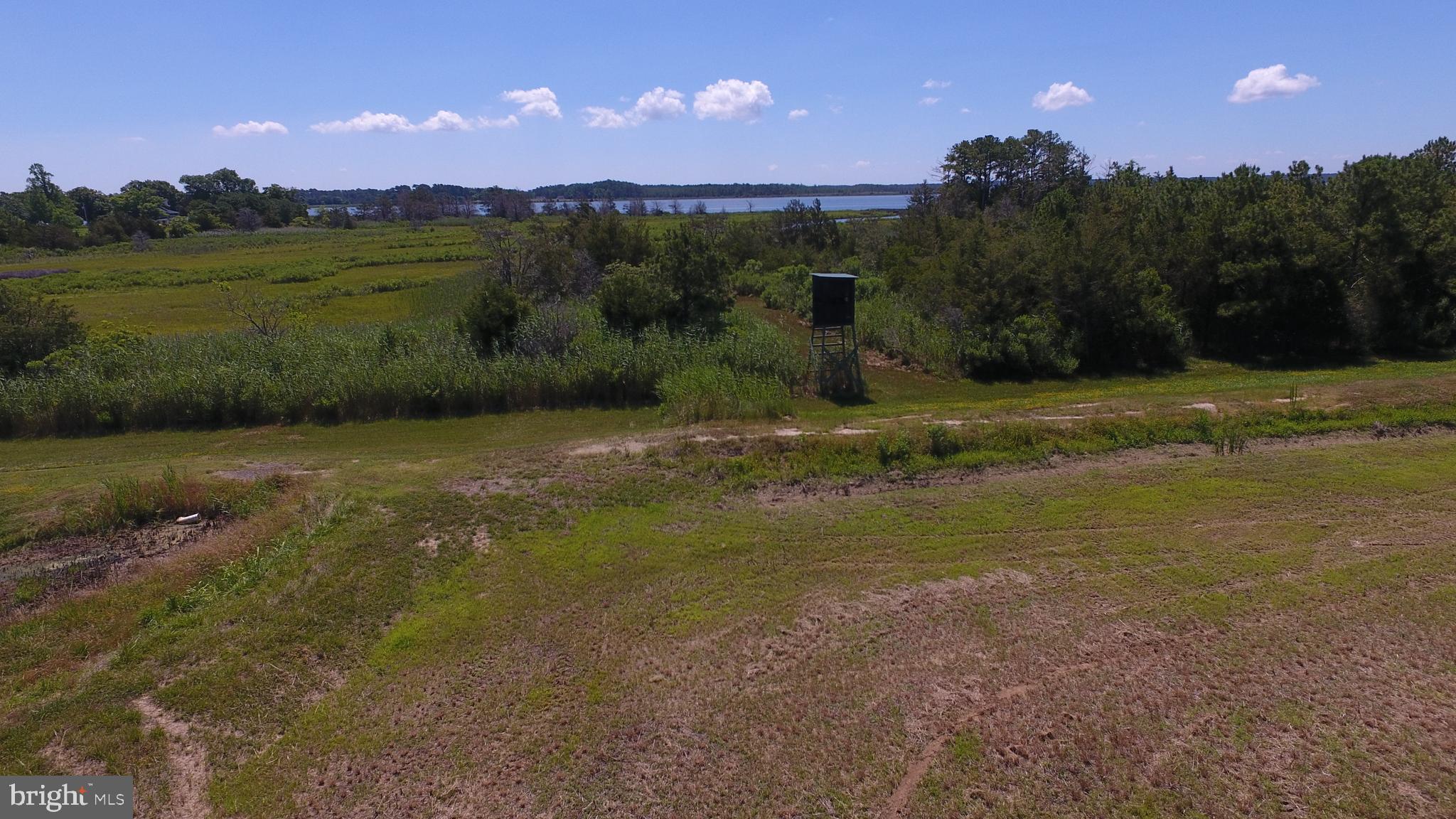 10049 Locust Point Road Princess Anne, MD 21853 - Photo 72 of 149
