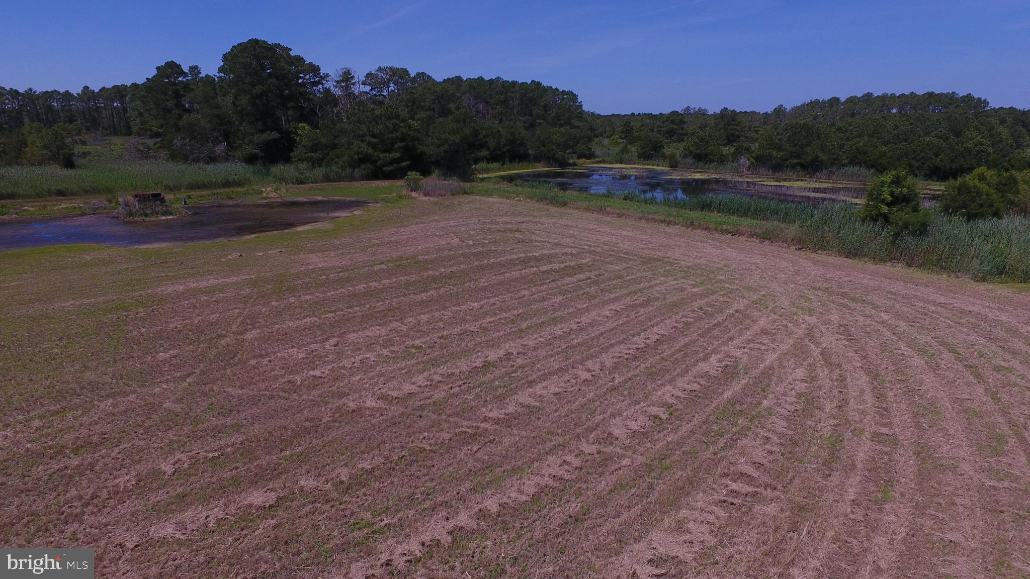 10049 Locust Point Road Princess Anne, MD 21853 - Photo 73 of 149