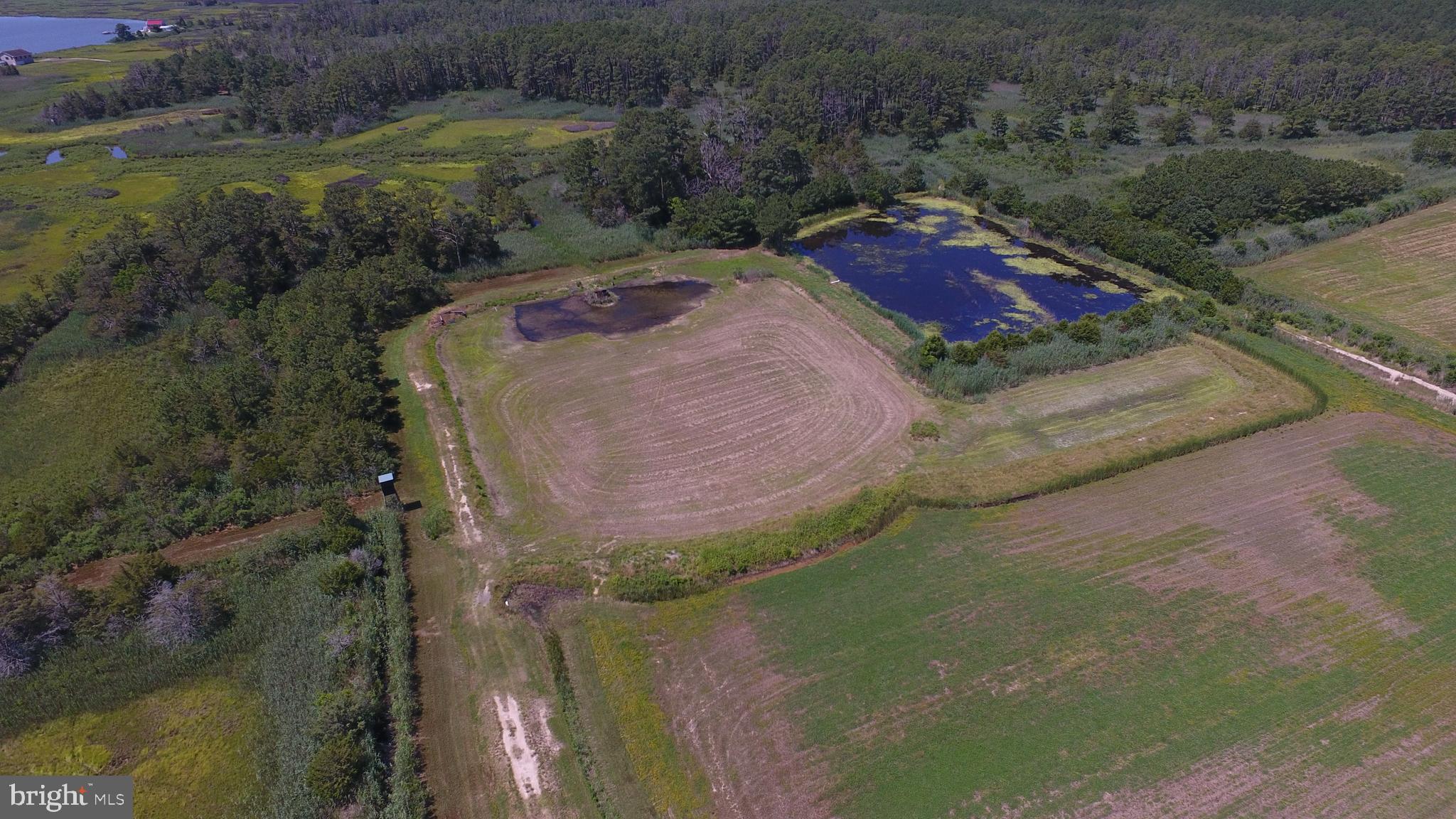10049 Locust Point Road Princess Anne, MD 21853 - Photo 74 of 149 Pond and Impound