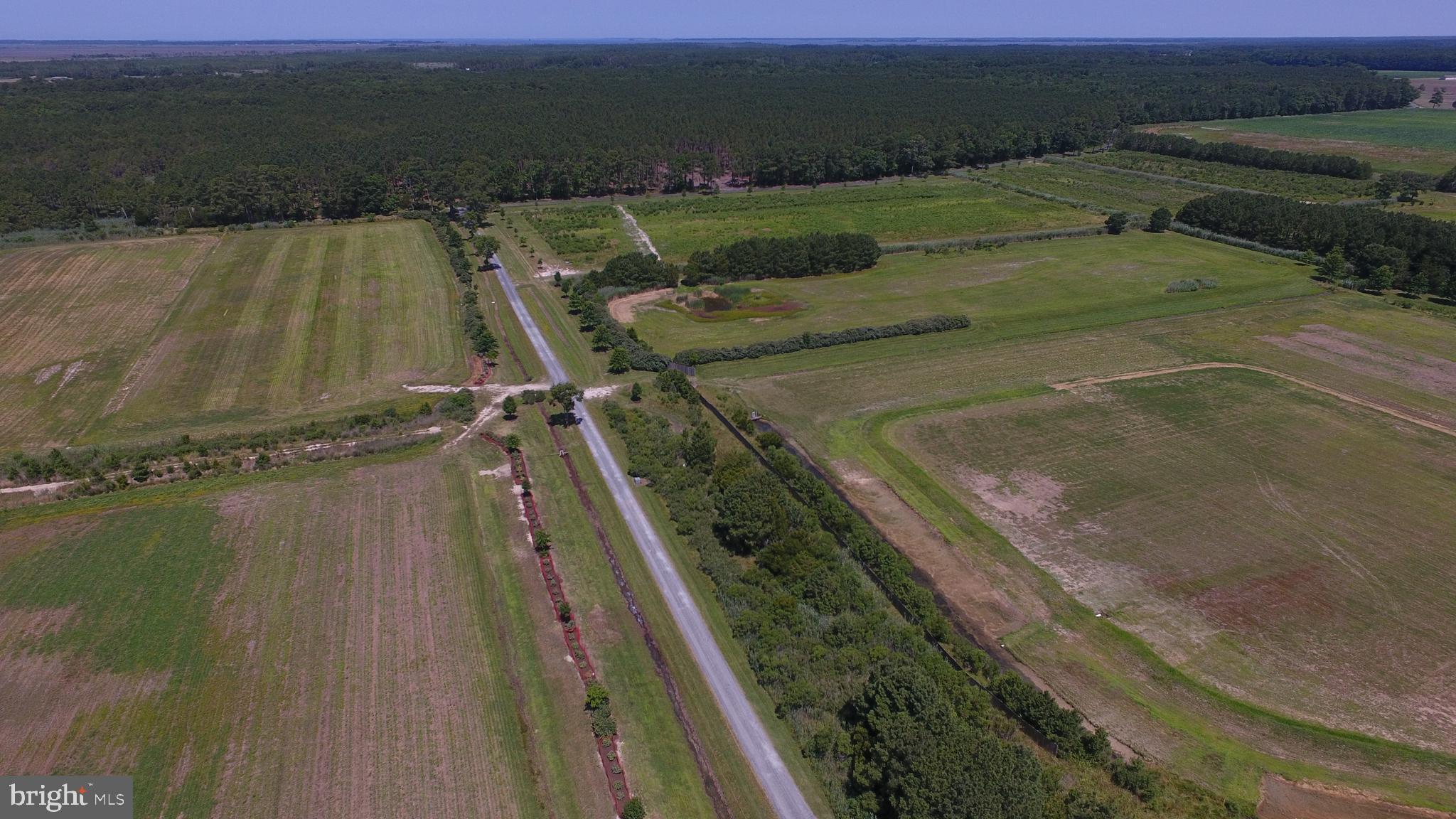 10049 Locust Point Road Princess Anne, MD 21853 - Photo 76 of 149