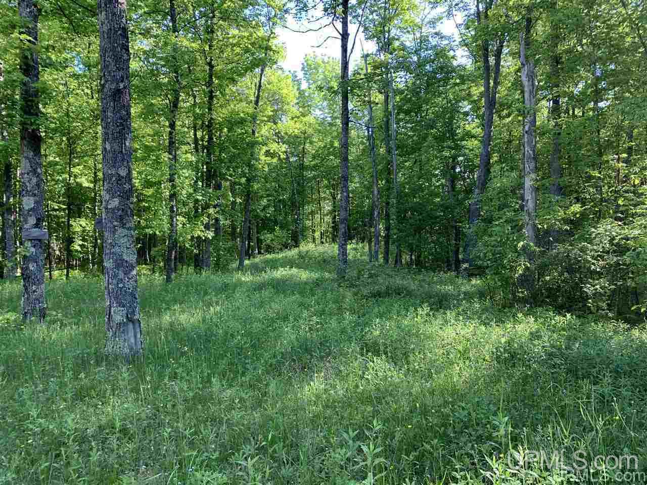11567 Pirkola Road Watton, MI 49970 - Photo 6 of 13