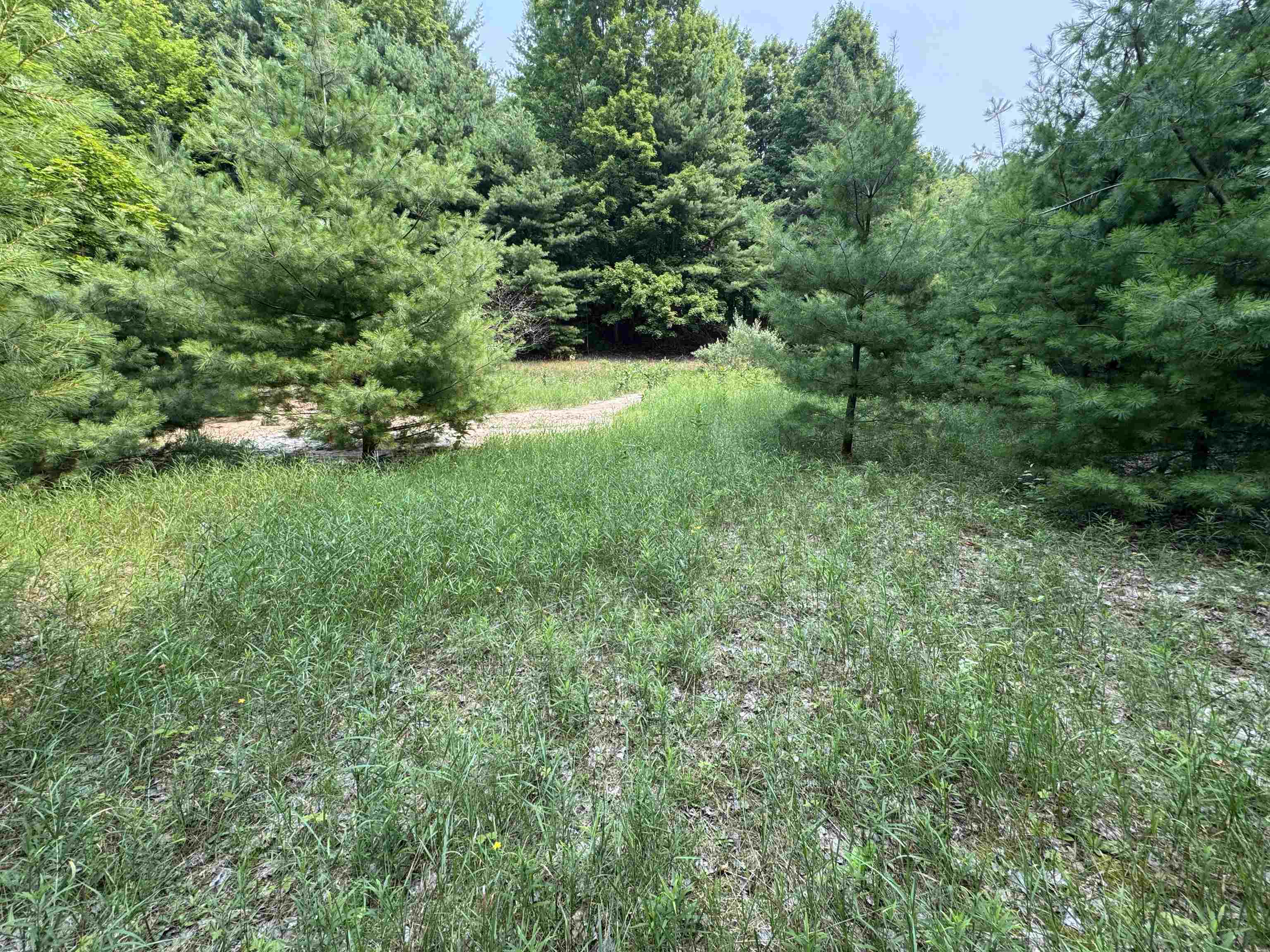 Lot #4 East Bellinger Road, Unit BELLINGER ESTATES Cedar, MI 49621 - Photo 5 of 27