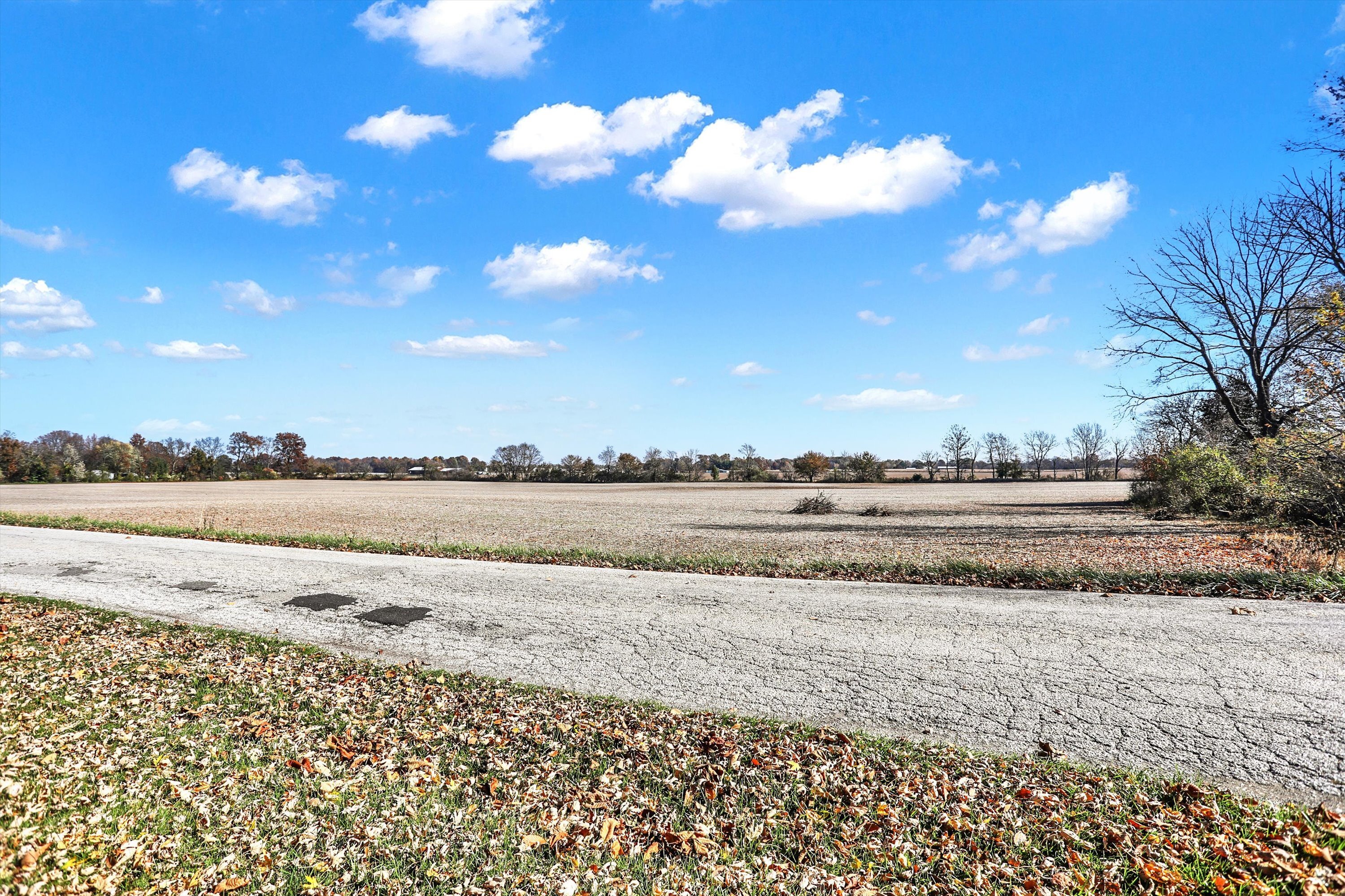 8716 South Mitthoeffer Road Indianapolis, IN 46259 - Photo 46 of 48 Gallery Image 46
