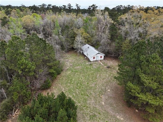 72228 Hidden Paradise Road Abita Springs, LA 70420 - Photo 5 of 7