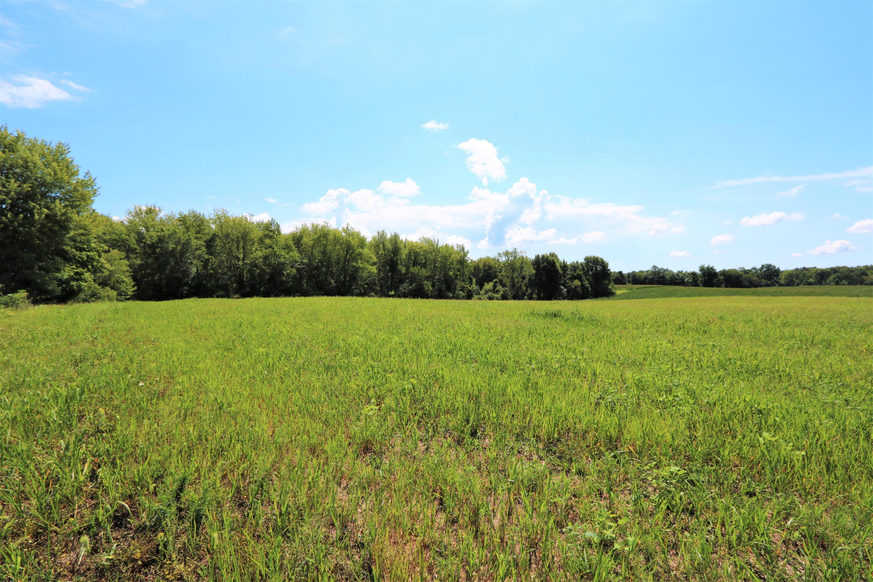 0 Lock Road, Unit LOT 1) Centerburg, OH 43011 - Photo 2 of 5 IMG_92831