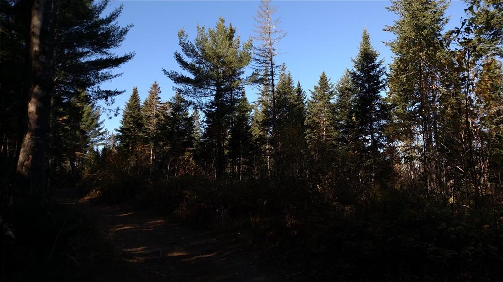 Lot 5 Potter Brook Road Winn, ME 04495 - Photo 3 of 5 Photo