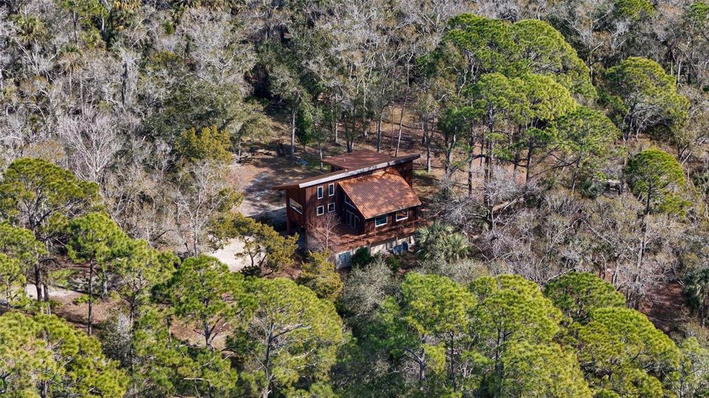 3490 Southeast 193rd Place Yankeetown, FL 34498 - Photo 45 of 71 a view of a house with a tree