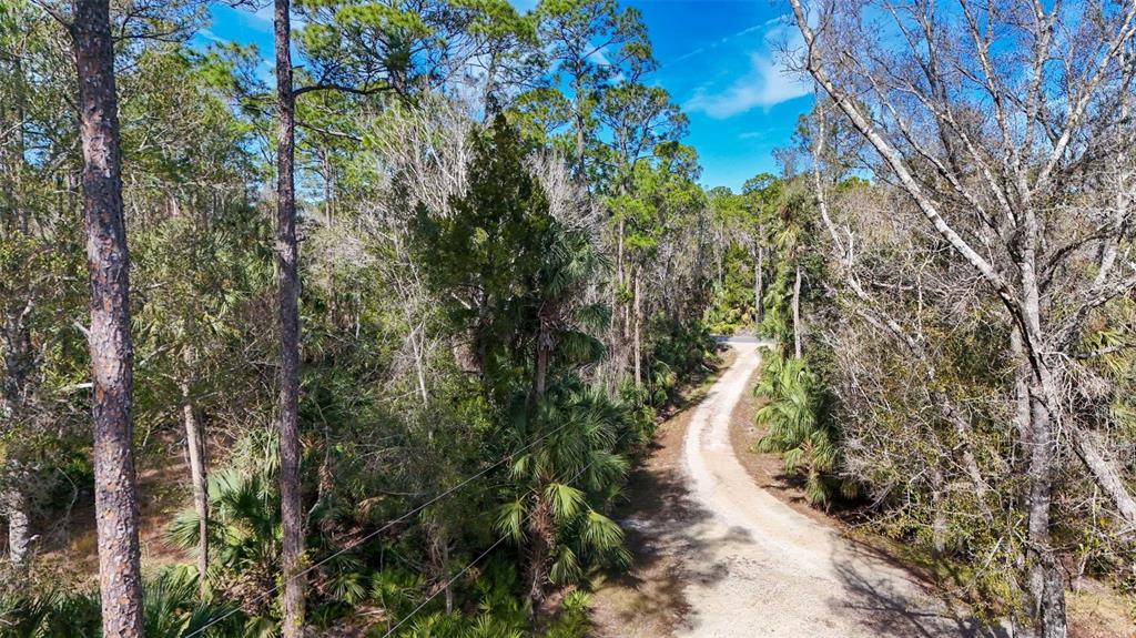 3490 Southeast 193rd Place Yankeetown, FL 34498 - Photo 62 of 71 a view of a yard with plants and large trees