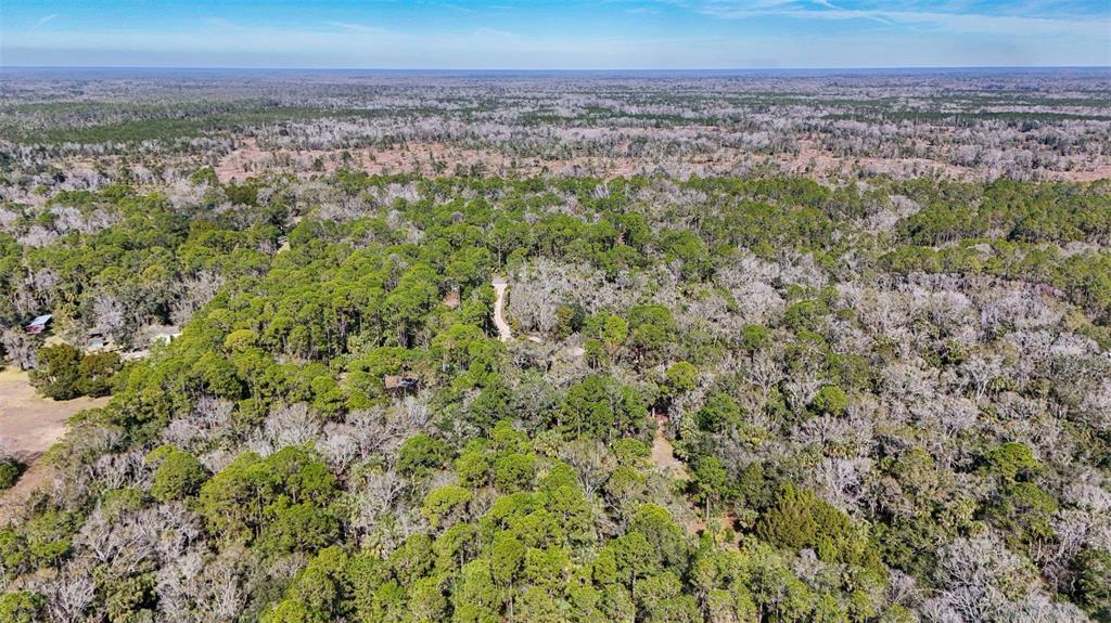 3490 Southeast 193rd Place Yankeetown, FL 34498 - Photo 66 of 71 a view of a big yard with a city view