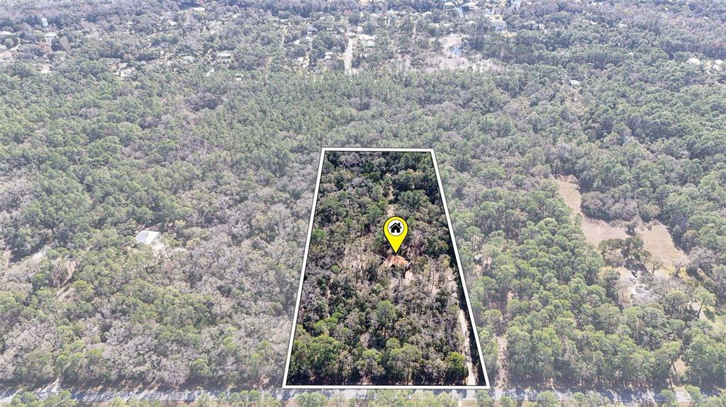 3490 Southeast 193rd Place Yankeetown, FL 34498 - Photo 69 of 71 a view of a forest with a tree