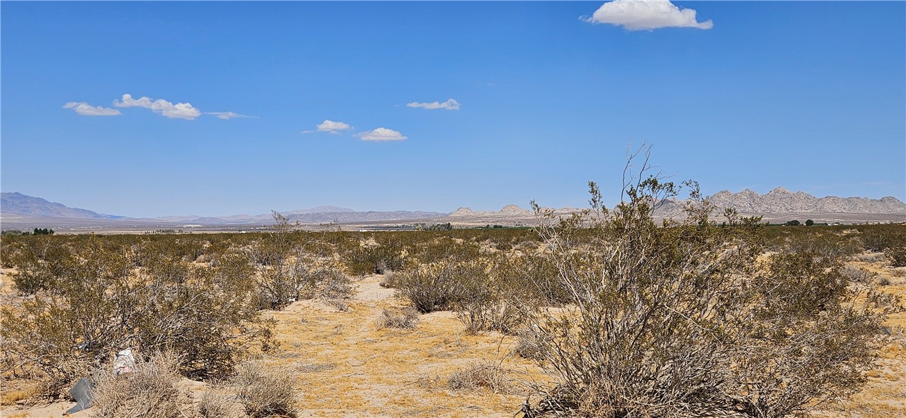 800 Lincoln Road Lucerne Valley, CA 92356 - Photo 4 of 8 Gallery Image 4