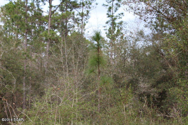 0 Knight Road Marianna, FL 32448 - Photo 1 of 5 Gallery Image 1