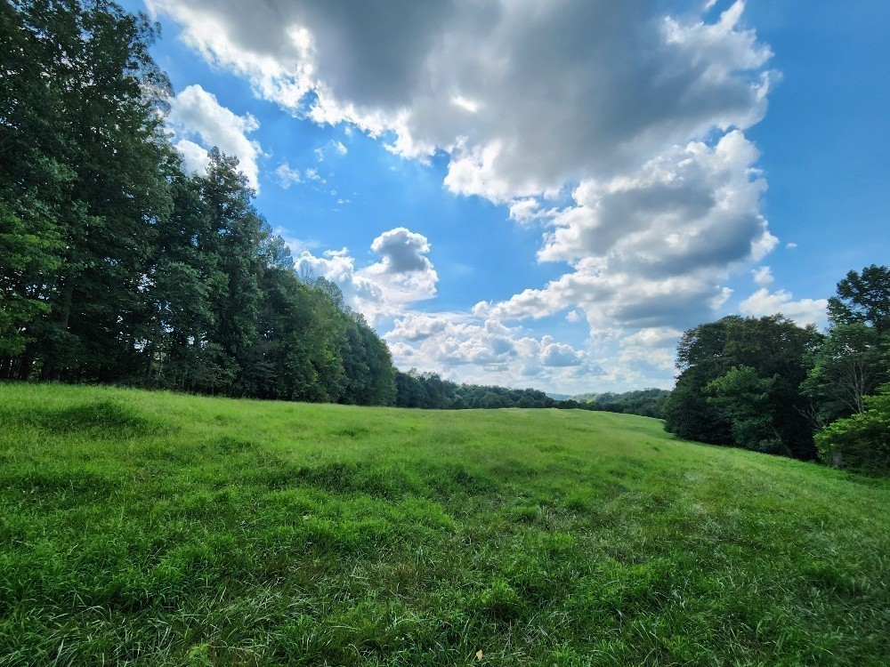 0 Taurus Farm Road Lafayette, TN 37083 - Photo 38 of 67 Gallery Image 38