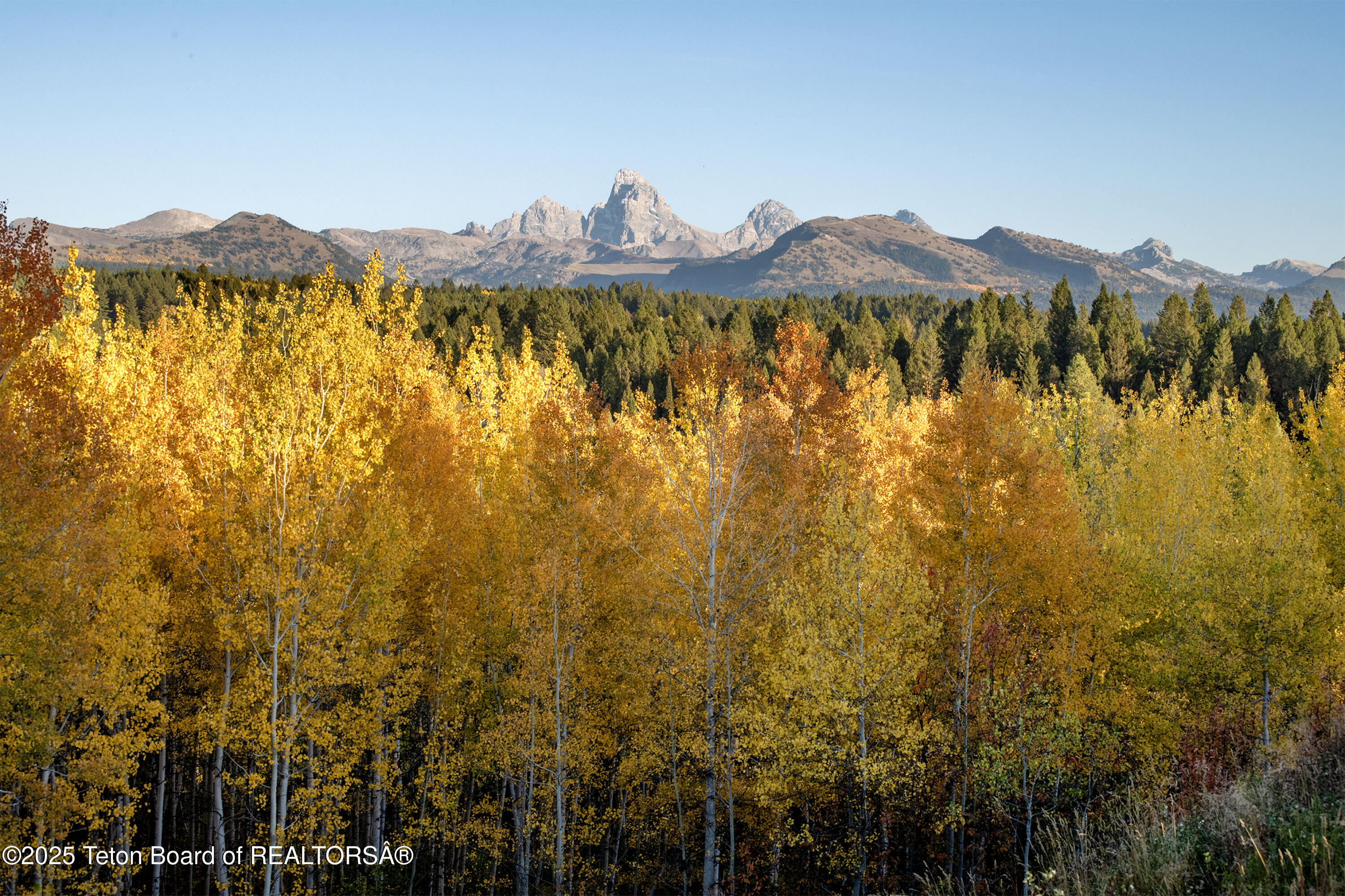 10827 Hiatt Trail Tetonia, ID 83452 - Photo 55 of 96 DSC_4244-HDR_print