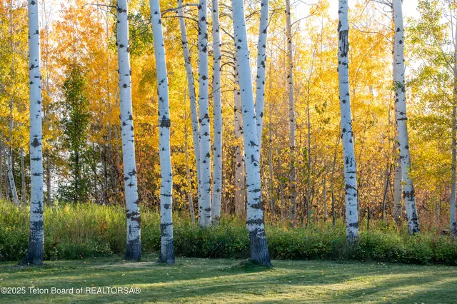 $1,350,000 | 10827 Hiatt Trail, Tetonia, ID 83452