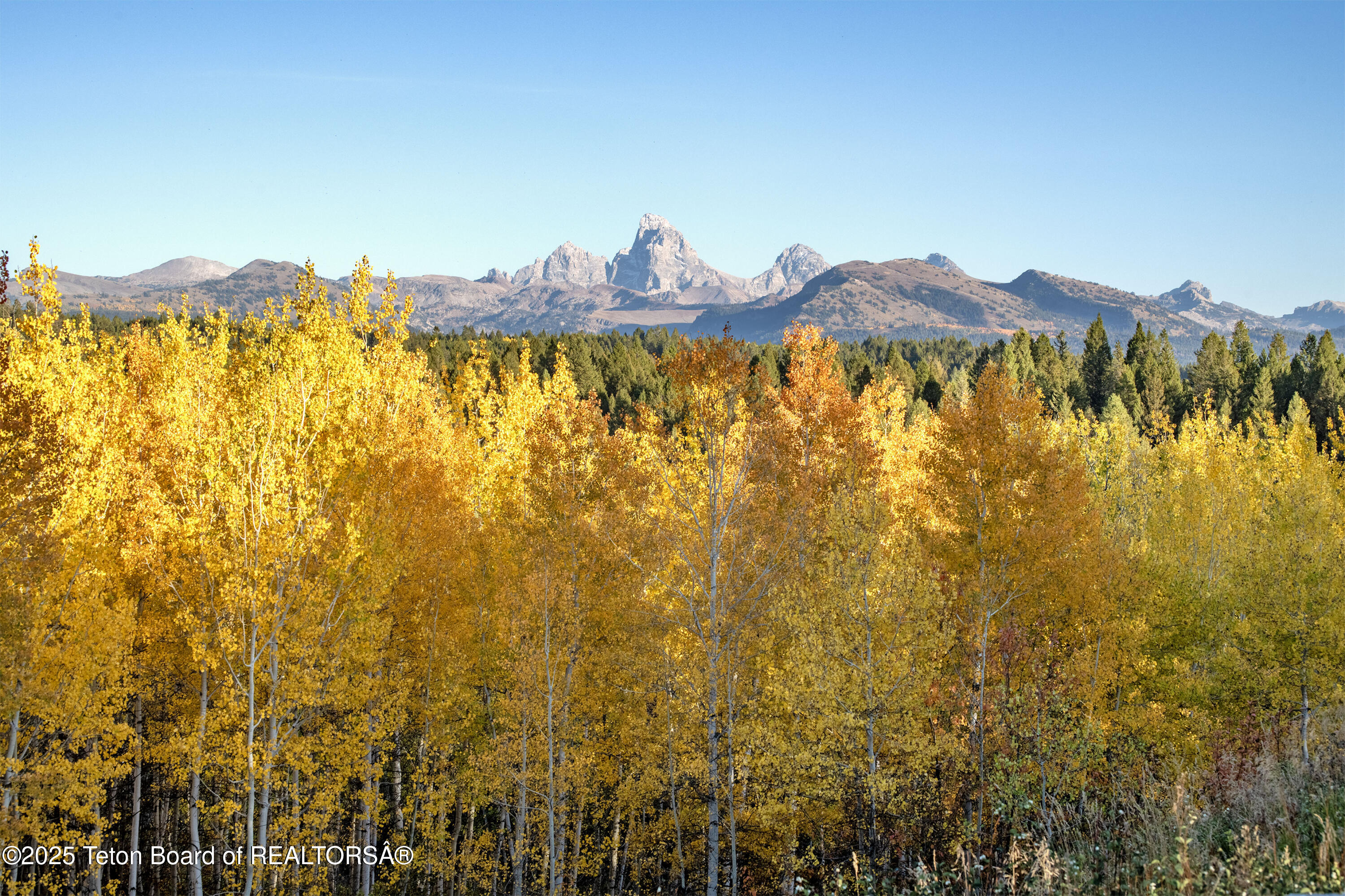 10827 Hiatt Trail Tetonia, ID 83452 - Photo 69 of 96 DSC_4202-HDR_print