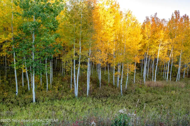 $1,350,000 | 10827 Hiatt Trail, Tetonia, ID 83452